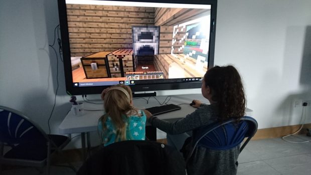 Learning with Minecraft